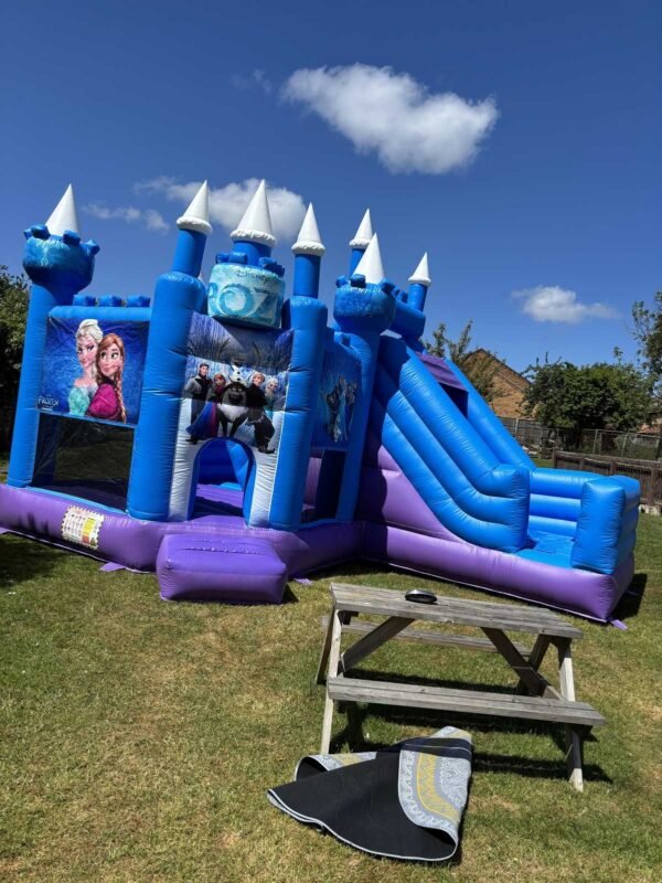 Frozen themed bouncy castle & slide