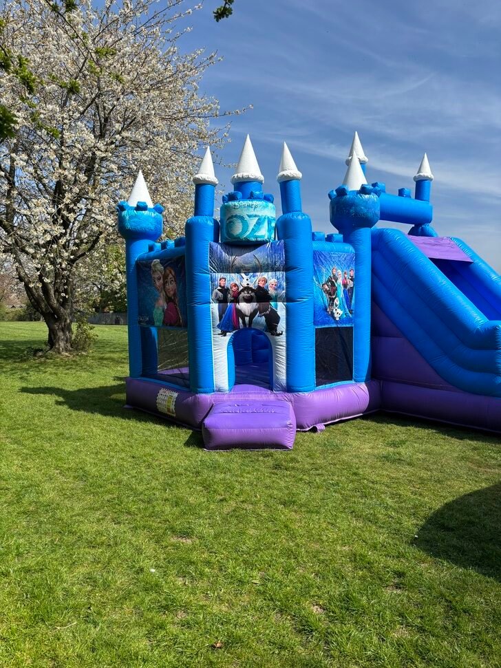 Frozen castle with beautiful turrets and Disney character artwork