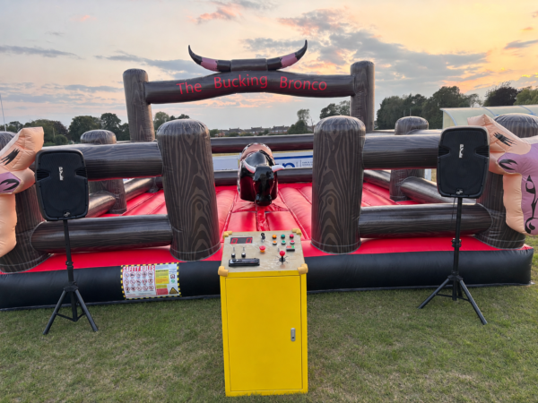 Rodeo bull hire for company events in Hull